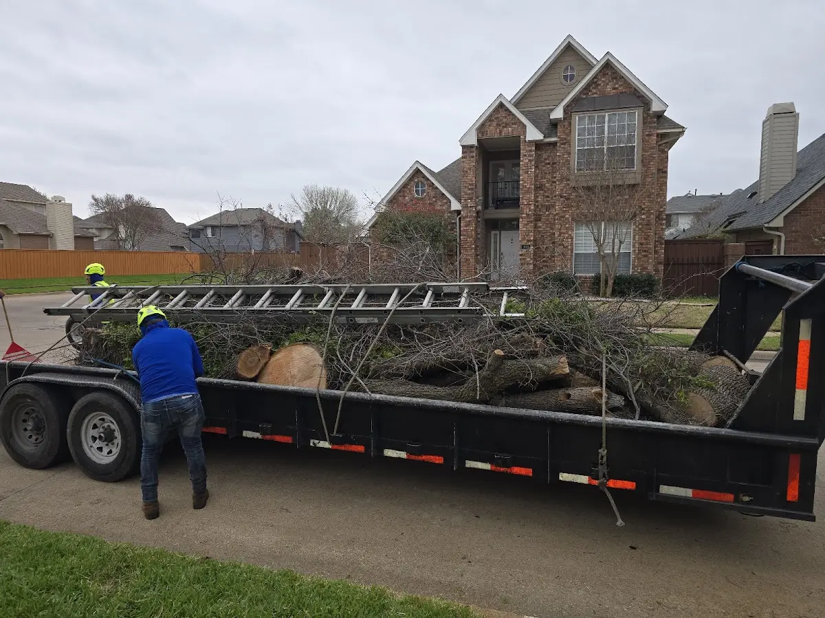 Expert Lot Clearing with proper safety equipment in Trego